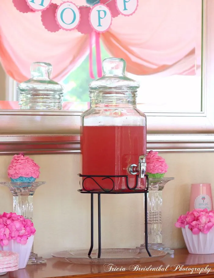 Pink Party Punch that Packs a Punch! - Home With Holly J