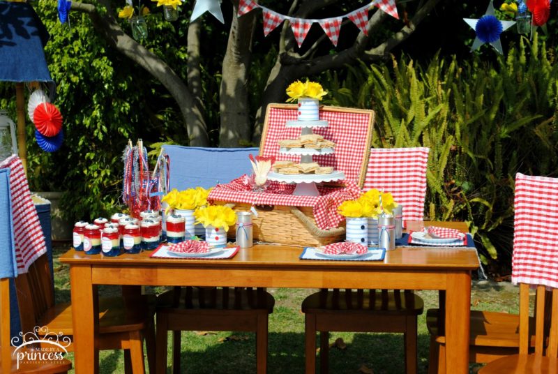 Patriotic Picnic - Made by A Princess