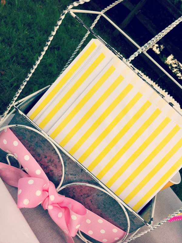 Lemonade stand Paper bags