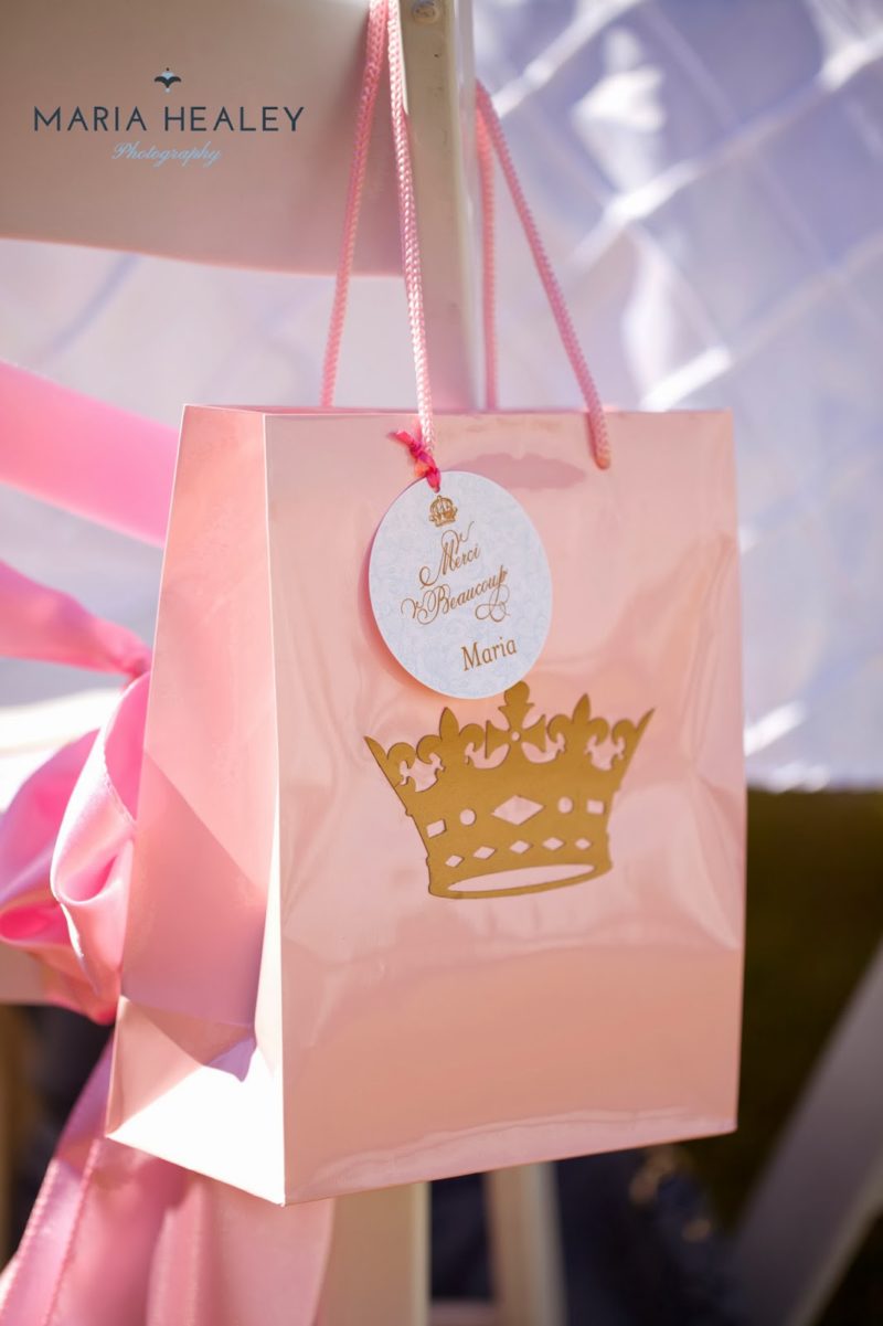 Marie+Antoinette-bag2.jpg
