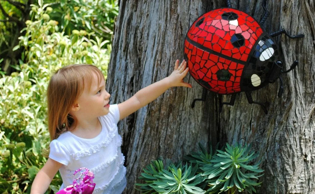 botanical gardens ladybug