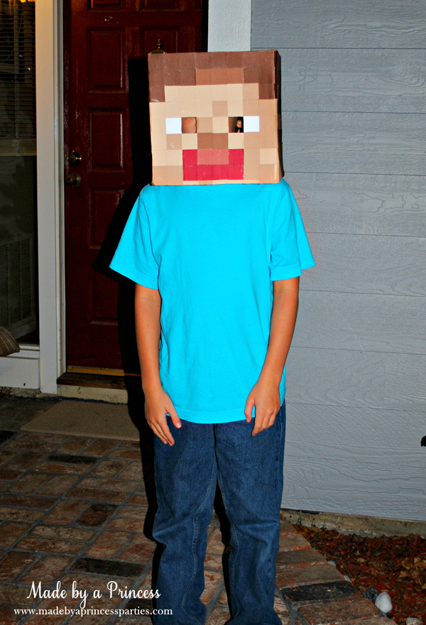 Make Your Own Minecraft Steve Head - Made by A Princess