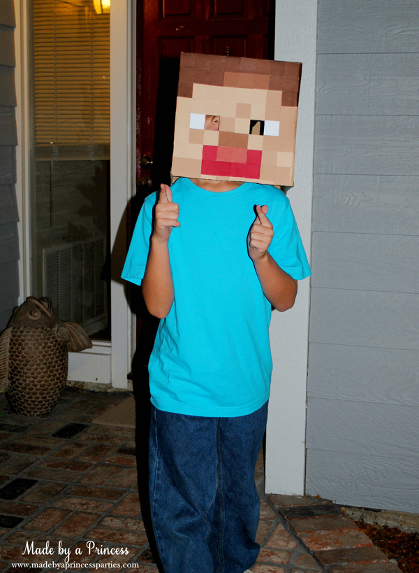 Make Your Own Minecraft Steve Head - Made by A Princess