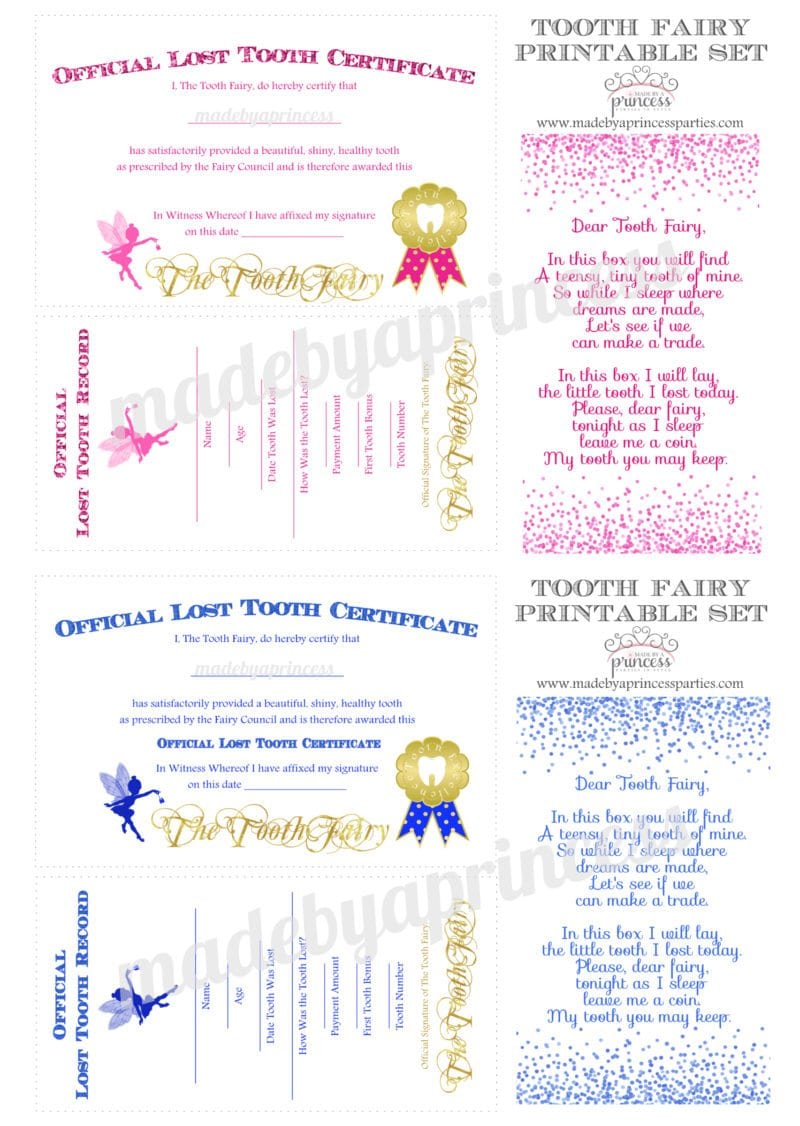 diy tooth fairy kit printables pink blue2