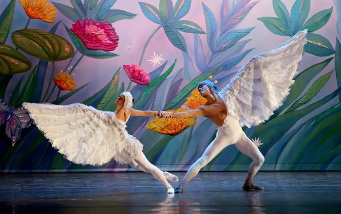 moscow ballet nutcracker dove of peace