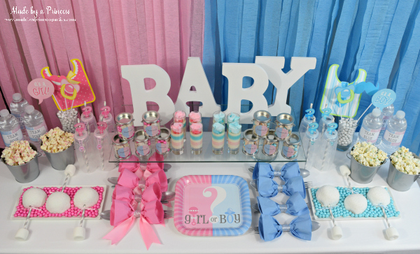 Gender Reveal Party Ideas Team Pink and Team Blue theme