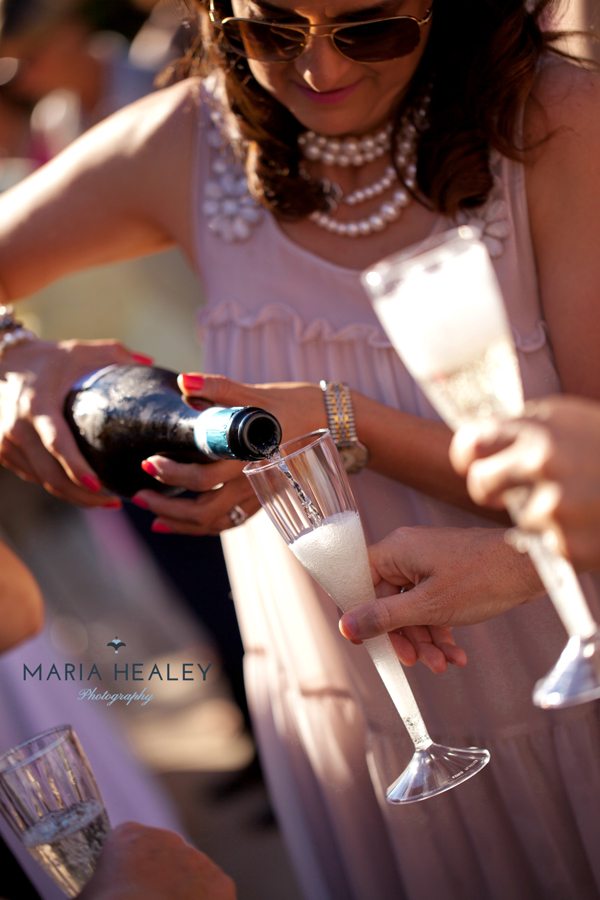 bubbly-champagne-recipe-cocktail-ideas-marie-antoinette-party-champagne
