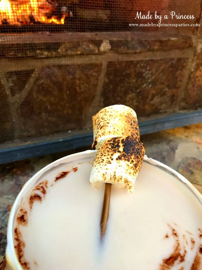 dark-chocolate-toasted-marshmallow-martini-with-marshmallow-in-the-drink