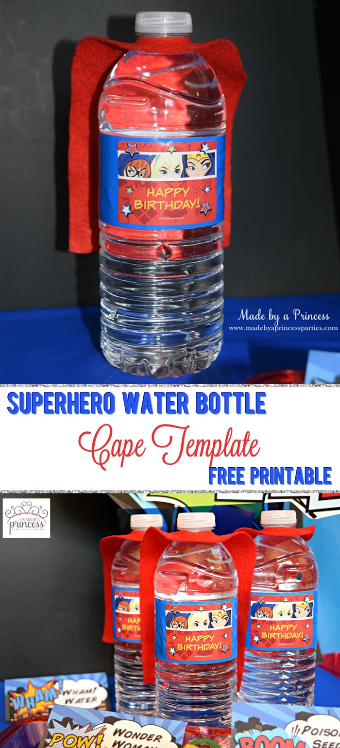 Bluey Inspired Birthday Water Bottle Label Editable