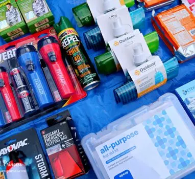 Unique School Auction Idea Emergency Preparedness Kit includes bug spray and mylar blankets