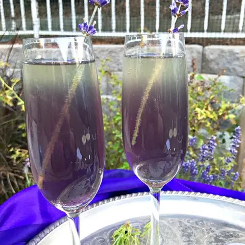 Lavender Elderflower Champagne Cocktail with a sprig of lavender