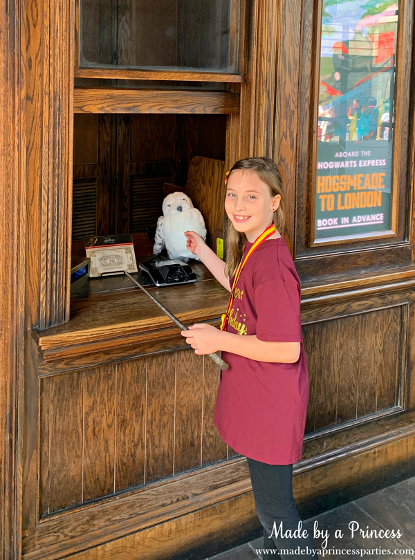 Owls are everywhere in Wizarding World of Harry Potter